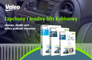 brudny filtr kabinowy brudny filtr kabinowy